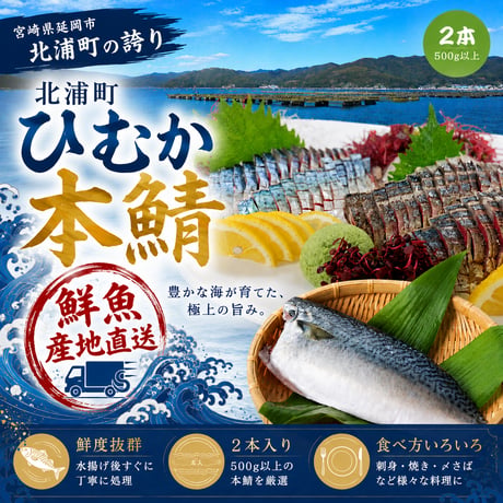 北浦町　(株)カネヲト　ひむか本鯖　鮮魚　2本