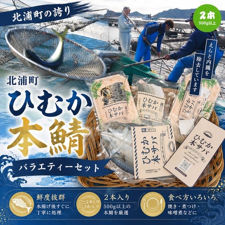 北浦町　(株)カネヲト　ひむか本鯖　バラエティーセット（しめ鯖・炙り・一夜干し）