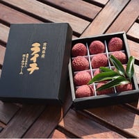 【新富町】販売予約受付開始！！50セット限定　宮崎県産　生ライチ　太陽の宝石　贈呈用　大粒12個　化粧箱入り