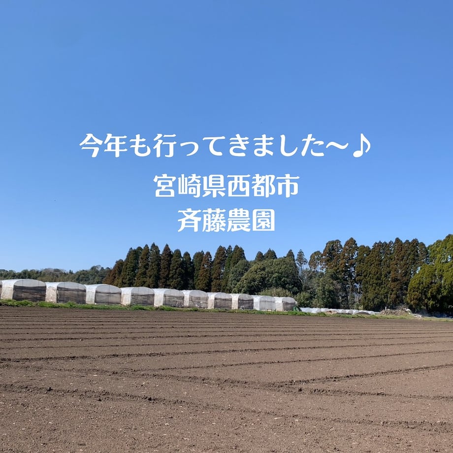 63d638a834e0177baa171773