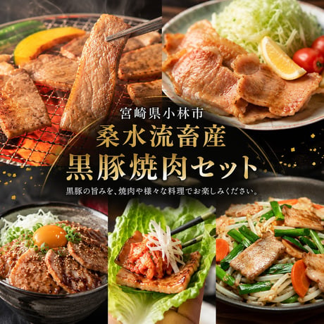 【小林市】宮崎黒豚の旨みを味わう、贅沢焼肉セット【小林市】
