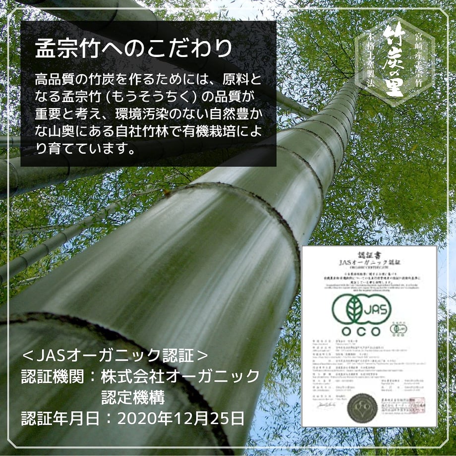 6997becaddb4220001bfcae3