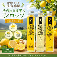 【小林市】宮崎を飲む！宮崎県産フルーツシロップ　（レモン・日向夏・柚子）３本セット