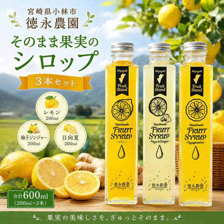 【小林市】宮崎を飲む！宮崎県産フルーツシロップ　（レモン・日向夏・柚子）３本セット