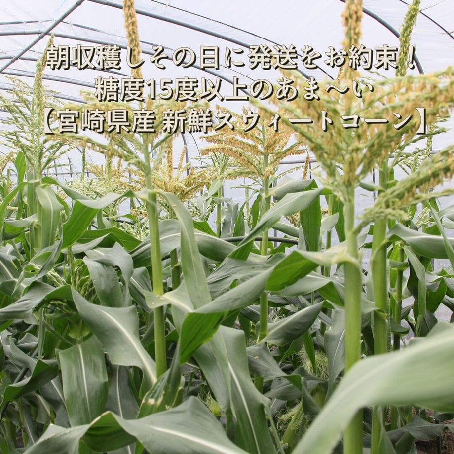 63d638a834e0177baa171773