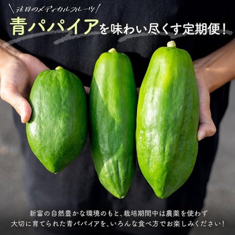 パパイヤ王子　大切な方へ贈る、健康という贅沢。パパイア酵素フード3種ギフトセット【新富町】