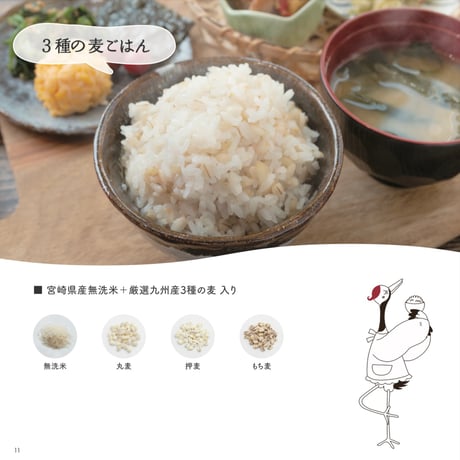 毎日のごはんを、もっと美味しく、もっと健康に。DNBO*DELI　ごほうびごはん（3種セット）【日向市】