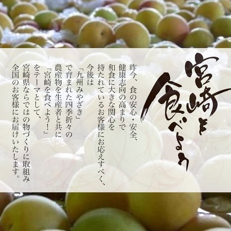 特選！宮崎県高級南高梅　梅干しセット（12個）