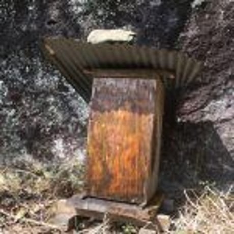 【小林市】最高級霧島地蜜120g