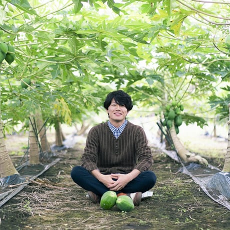 パパイヤ王子　毎日の健康習慣を、特別な贈り物に。パパイア王子 酵素ティー3種ギフトセット【新富町】