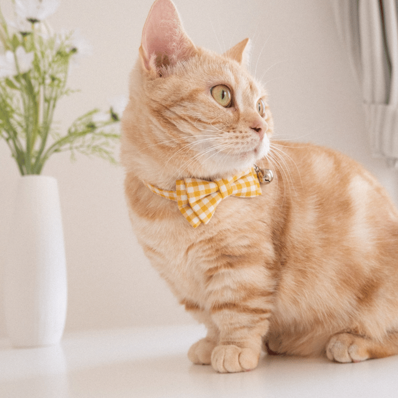 ギンガムチェックリボン | nuco