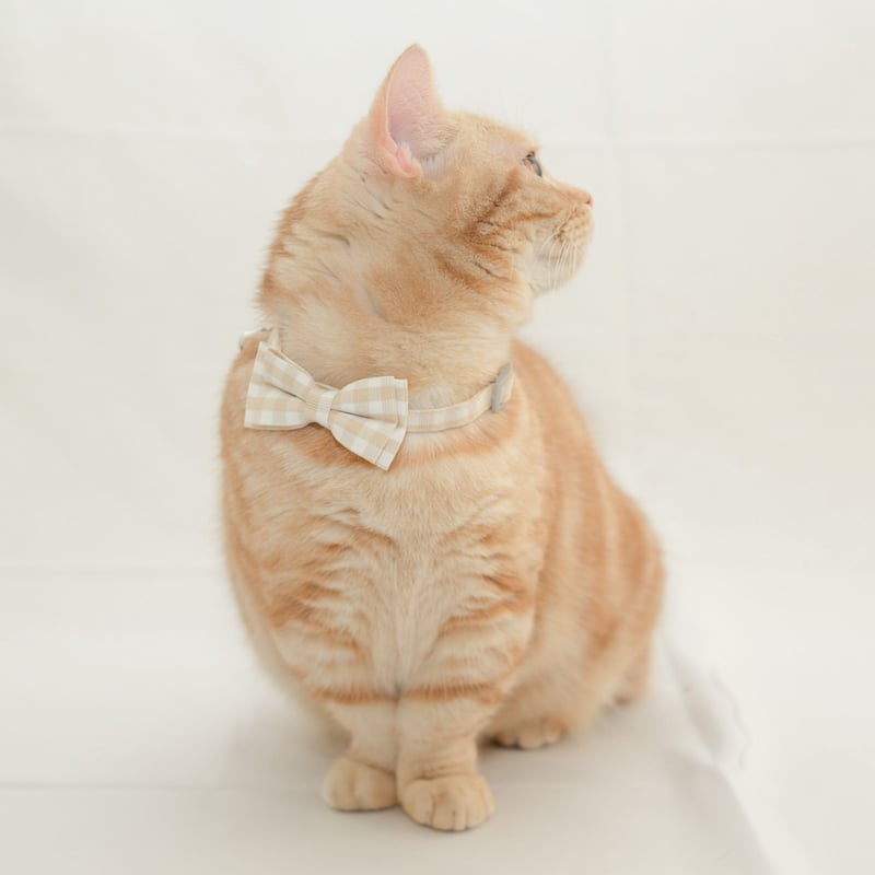 【未使用】アナトリエ　スプリングコート　ギンガムチェック　リボン 未使用】アナトリエ スプリングコート ギンガムチェック リボン