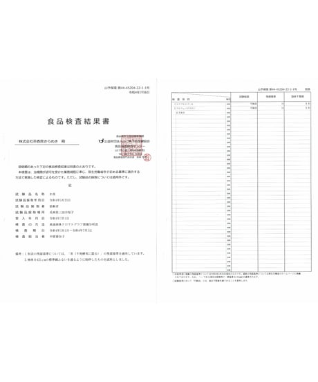 煎茶ティーバッグ　2g×10個
