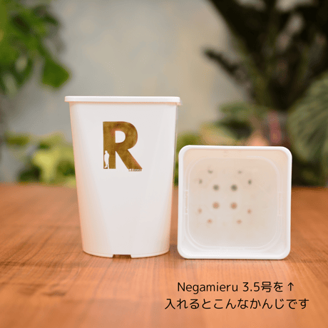 Neo Put White 4号 4鉢セット
