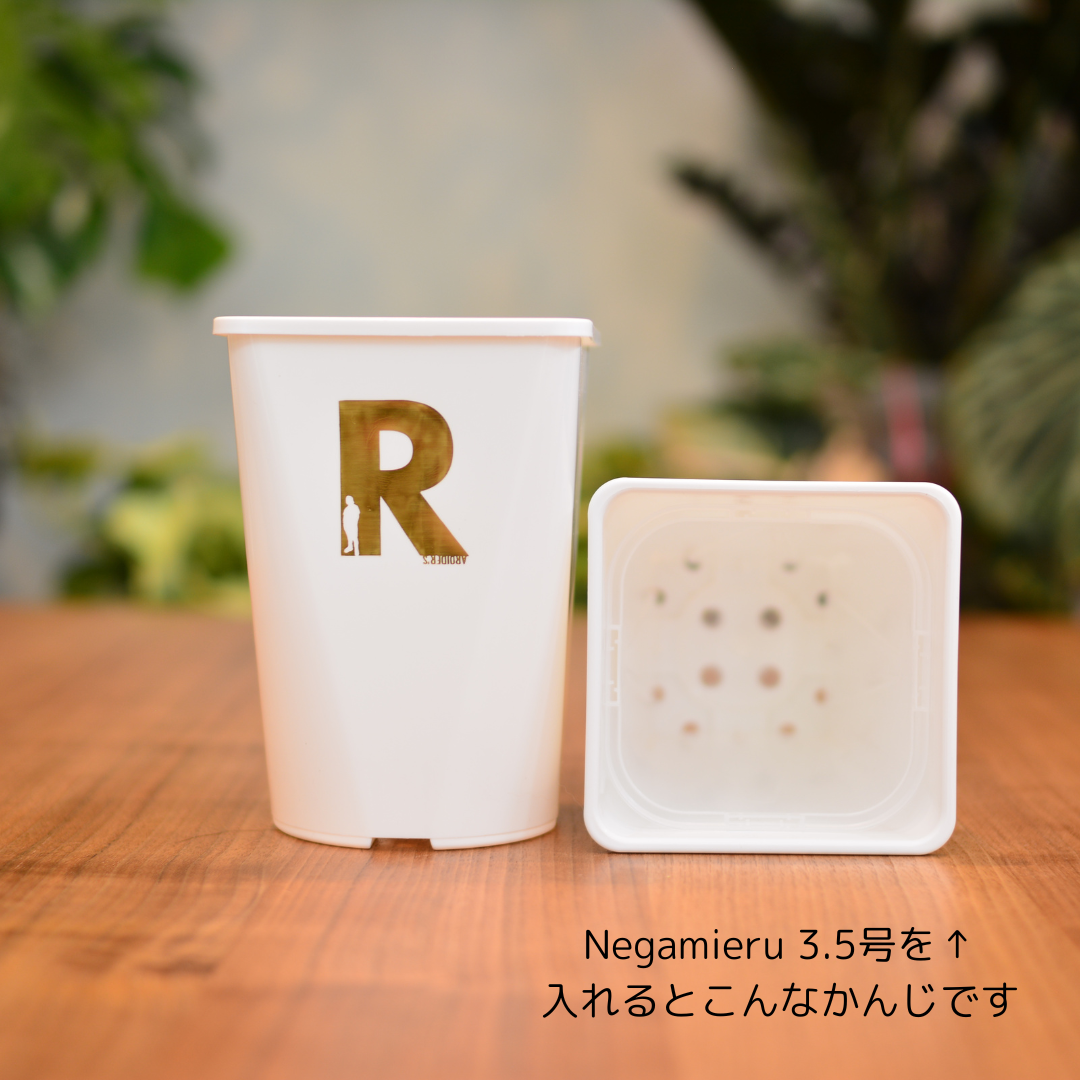 Neo Put White 4号 4鉢セット | 花森家-1号店-