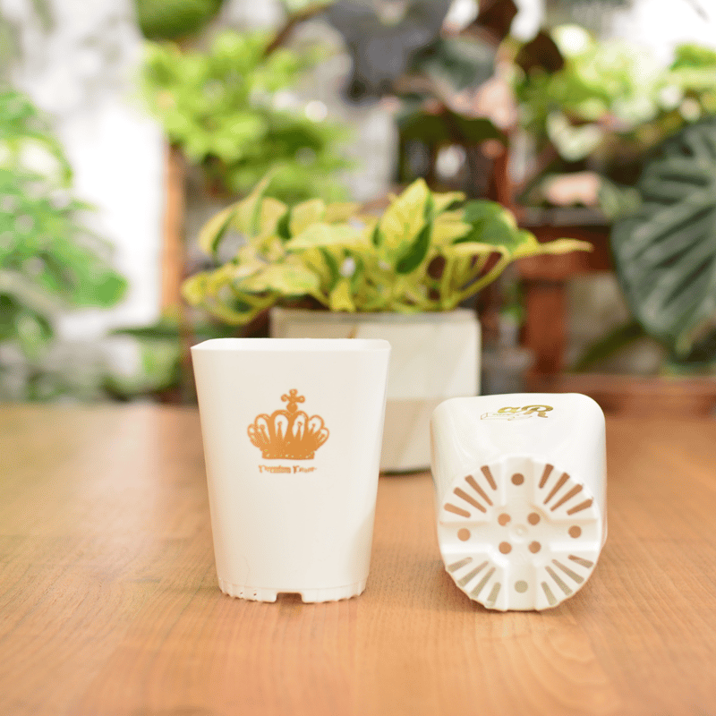 植木鉢　2個セット Amazon.co.jp: 植木鉢 2 個 プラスチックせー製 はいいろ 植木ば