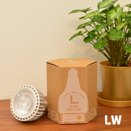 【照明】EVER SUN 365  本体カラー White Model