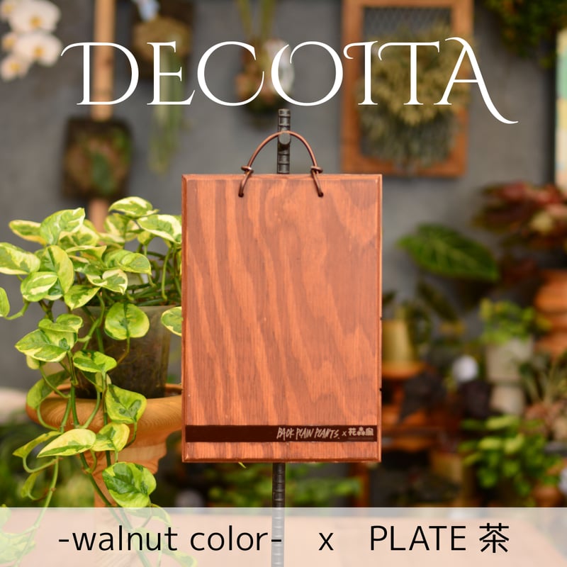DECOITA｜植物着生専用オリジナル板 | 花森家-1号店-