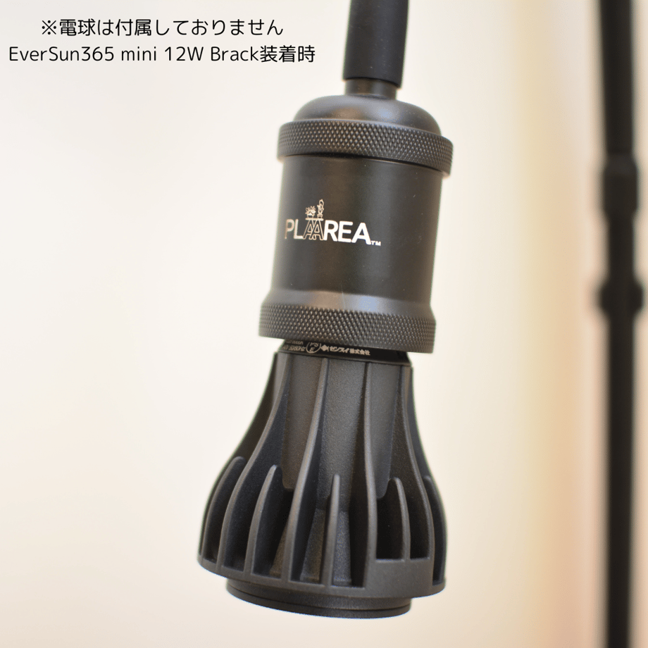 67ac359ac774eb002bd8290e