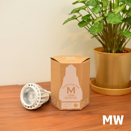 【照明】EVER SUN 365  本体カラー White Model