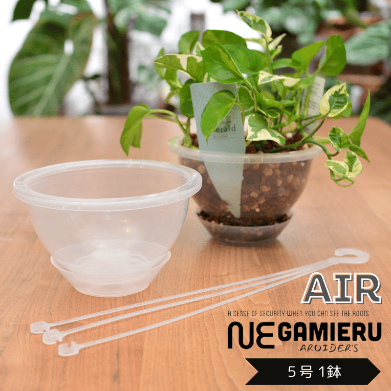 透明鉢《 NEgamieru 》 AIR 5号 1鉢 | 花森家-1号店-