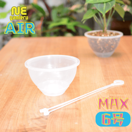 透明鉢《 NEgamieru 》 AIR Max 6号 1鉢
