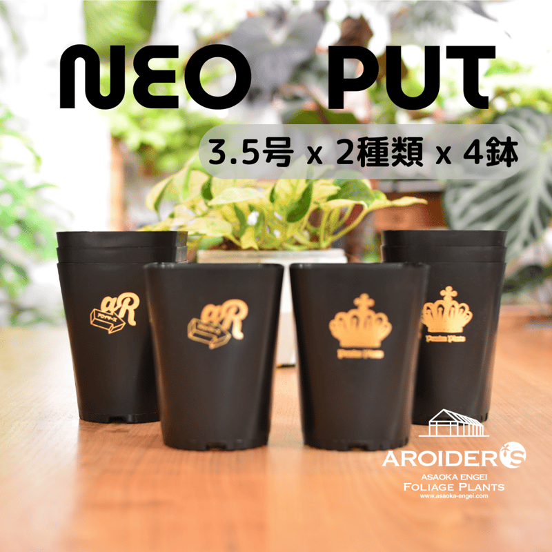 Neo Put Brack 3.5号 2種8鉢セット | 花森家-1号店-
