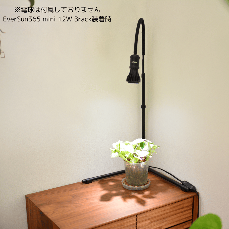 67ac359ac774eb002bd8290e
