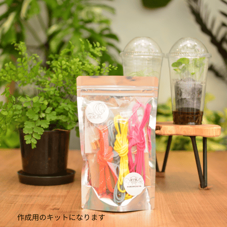 パラパラ　パラコード