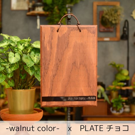 DECOITA｜植物着生専用オリジナル板