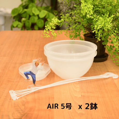 透明鉢《 NEgamieru 》箱80サイズ Nセット
