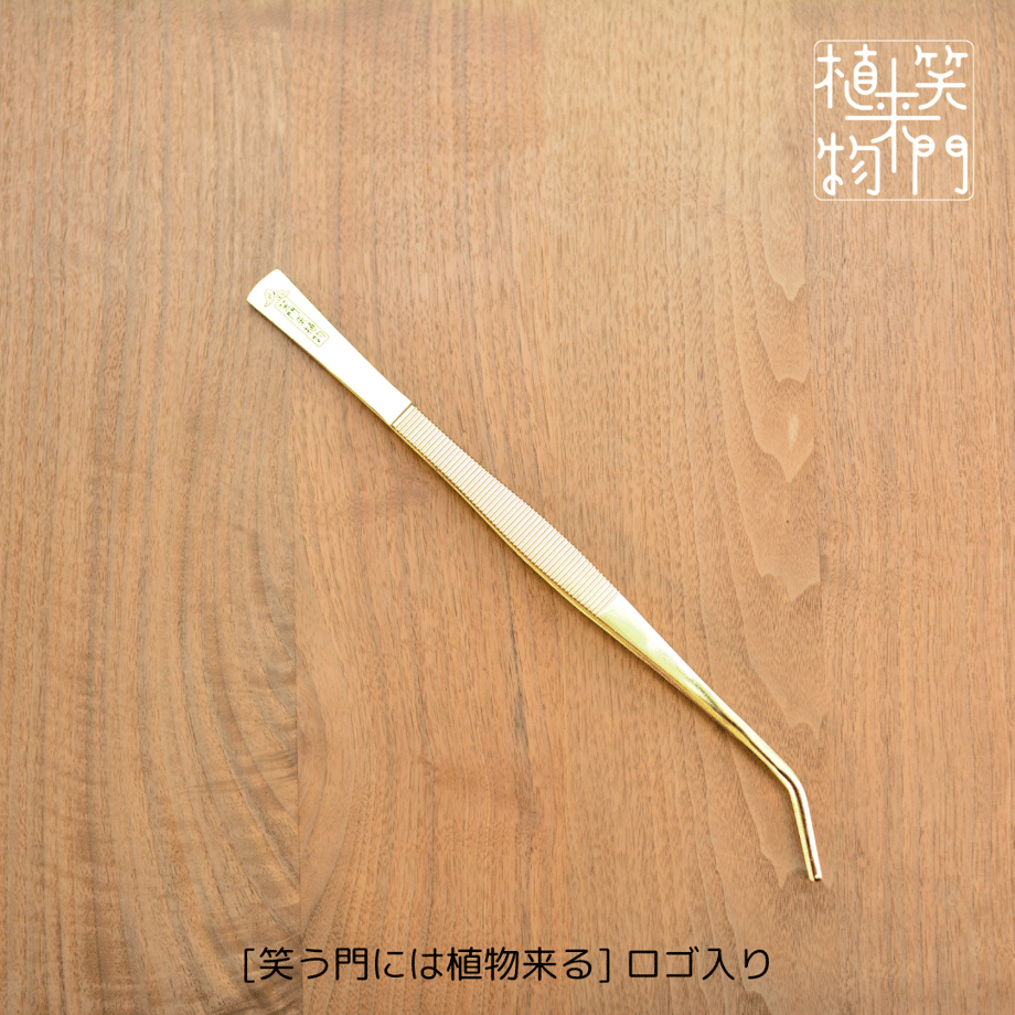 6a19409ca3a20c932da9388b