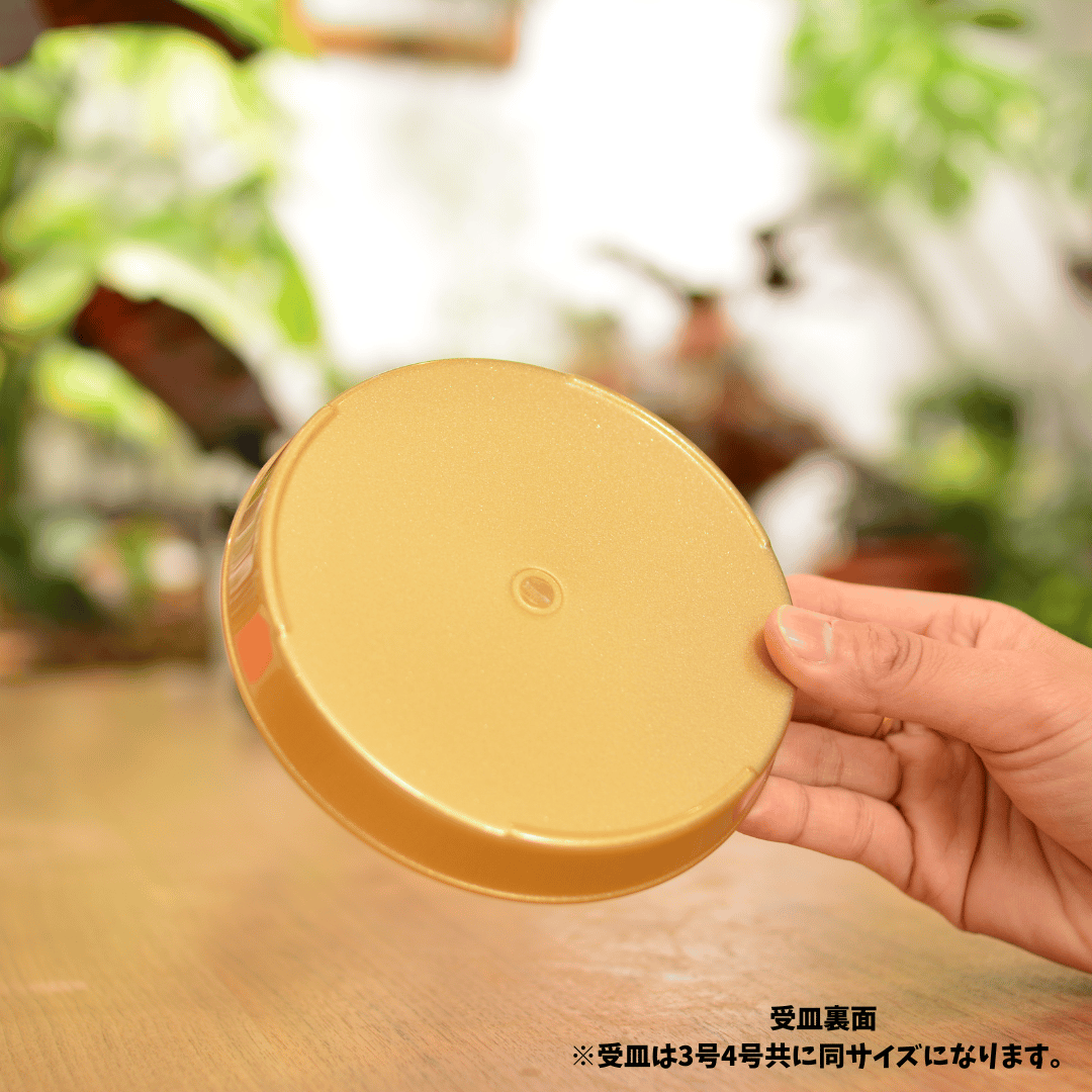 3号]花森家の鉢 x 受け皿(ゴールド)単品 | 花森家-1号店-