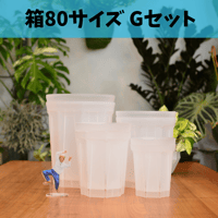 透明鉢《 NEgamieru 》箱80サイズ Gセット