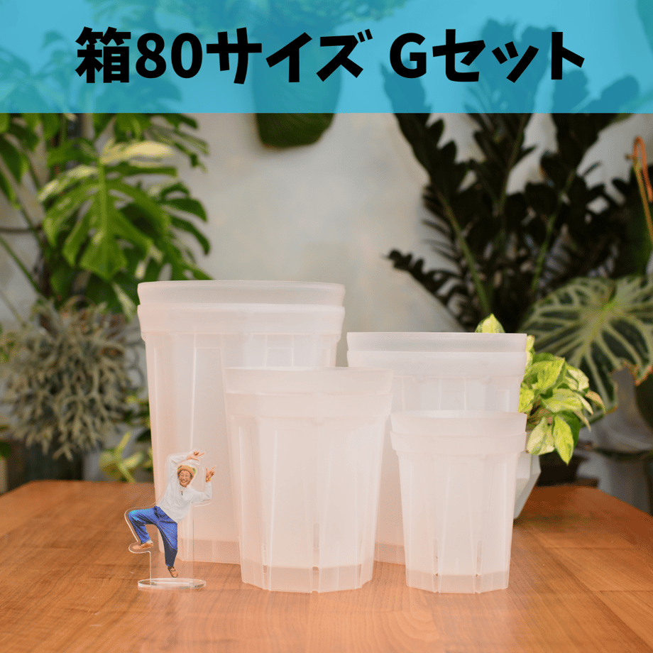 6a1bb017b8793a94a8ad94d8