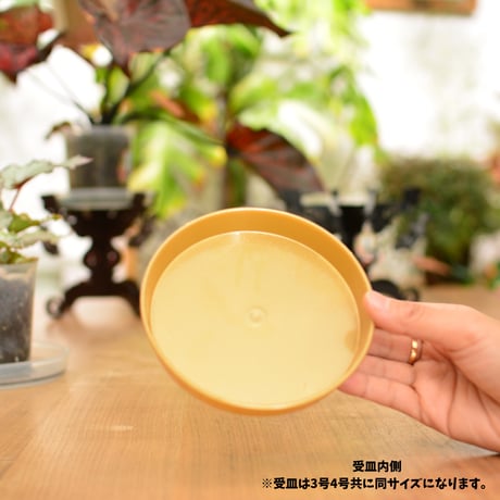 [3号]花森家の鉢 x 受け皿(ゴールド)単品