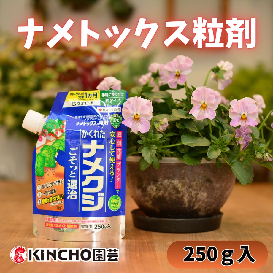 6997a2d04c088e12d792e386