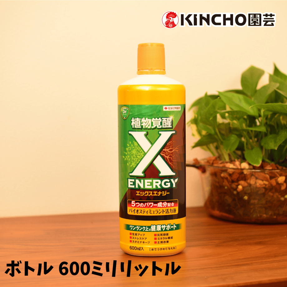 67c811ab632ad61f82f9068a