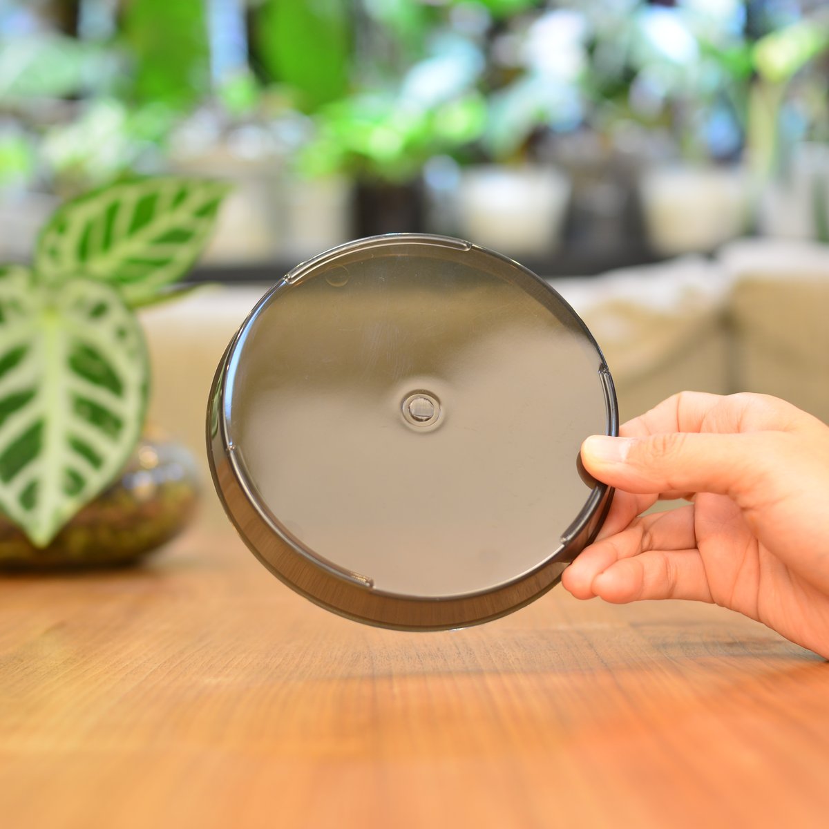 花森家の鉢受け皿(クリアブラック)1枚 | 花森家-1号店-