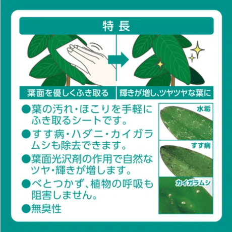 【MY PLANTS】葉面洗浄剤 葉をきれいにするシート