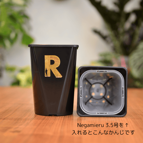 Neo Put Brack 4号 4鉢セット