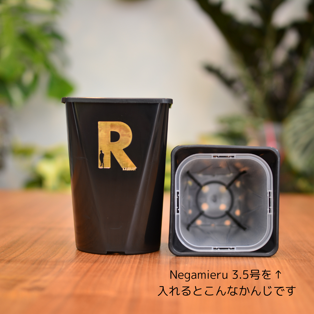 Neo Put Brack 4号 4鉢セット | 花森家-1号店-