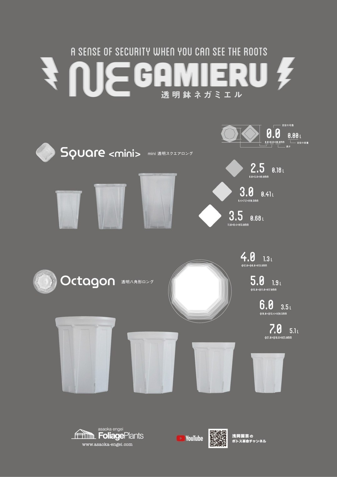 透明鉢《 NEgamieru 》箱80サイズ Eセット | 花森家 オンラインストア