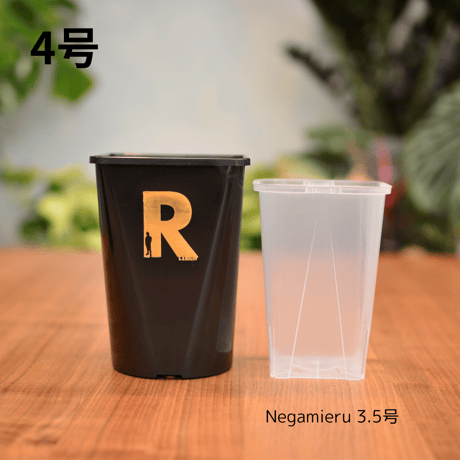 Neo Put Brack 3種6鉢セット