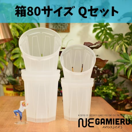 透明鉢《 NEgamieru 》箱80サイズ Qセット