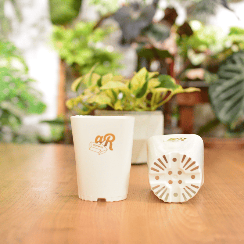 Neo Put White 3.5号 2種8鉢セット | 花森家-1号店-