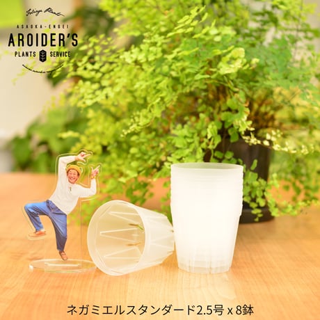 透明鉢《 NEgamieru 》standard 2.5号 8鉢セット