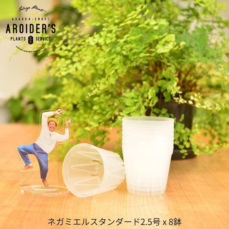 透明鉢《 NEgamieru 》standard 2.5号 8鉢セット | 花森家-1号店-