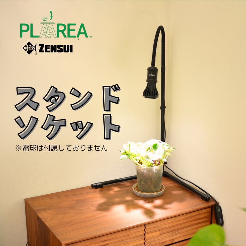 プラエリア スタンドソケット 1台 | 花森家-1号店-