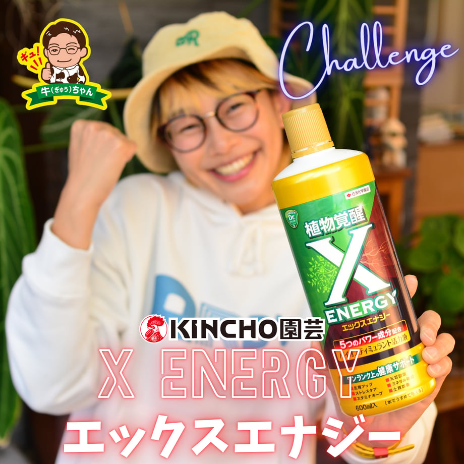 67c811ab632ad61f82f9068a
